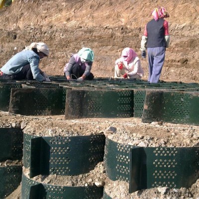 拓林 200-760 轮胎蜂巢格室 护坡专用蜂巢网格 武威土工格室价格图6