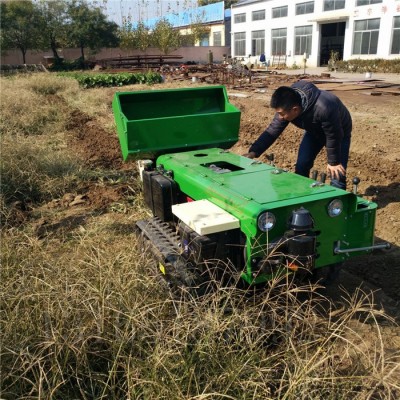 座驾式履带风送式打药机 打药机五套工具有现货 履带轮胎葡萄果园施肥机富兴图2