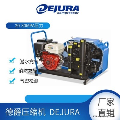 德爵DW800 甘肃平凉工厂用空压机  塑料机械用空压机  高压空压机图4