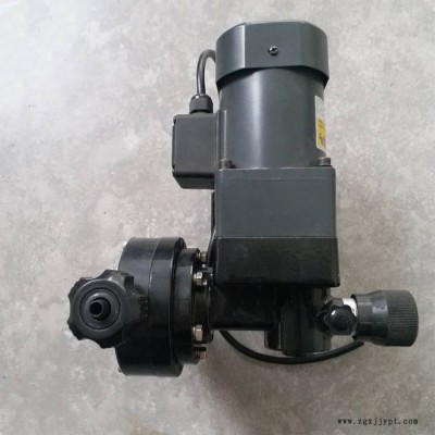 诺西德ZDJX2480/0.4 工程塑料机械隔膜计量泵图8