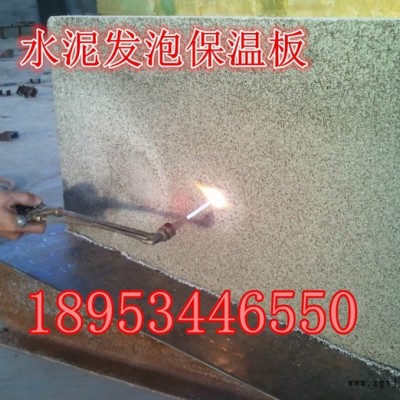 鑫宏达 生产配方的水泥发泡机成套设备 自动保温板生产线图2