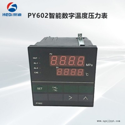 佛山贺迪PY602智能数字温度压力表塑料机械传感器温压一体温控制仪表图3