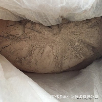 蜡状芽孢杆菌现货批发零售微生物菌肥菌粉量大优惠蜡样芽孢杆菌图3