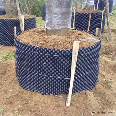 塑料加厚盆景阻根器 园艺塑料控根器 塑料植物花盆 一匡 一件起发图2