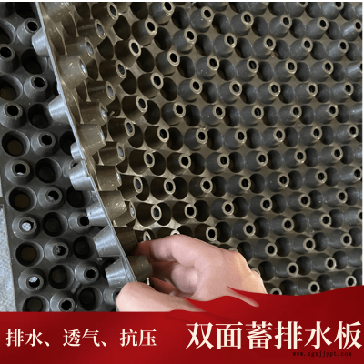 江西 塑料凹凸排水板 hdpe塑料排水板 塑料夹层排水板 厂家直销图4