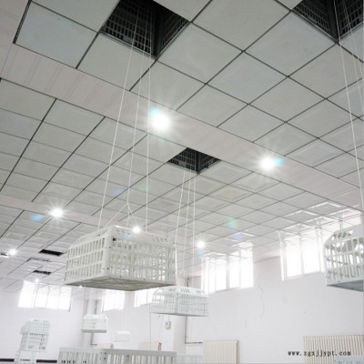 矿用更衣吊篮 遥控矿用更衣吊篮 持久耐用 无线遥控更衣吊篮 ABS工程塑料篮图2