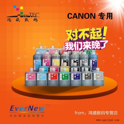 鸿盛EverNew适用于CANON大幅面 高耐光抗UV染料墨水图2