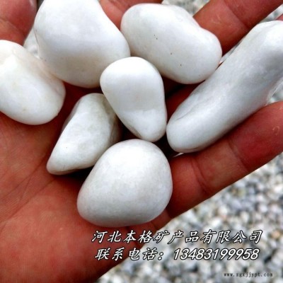 本格厂家供应天然鹅卵石  水洗鹅卵石 机制白麻鹅卵石 天然河滩鹅卵石图4