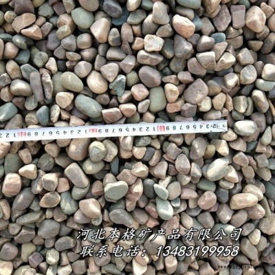 本格厂家供应天然鹅卵石  水洗鹅卵石 机制白麻鹅卵石 天然河滩鹅卵石图5