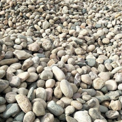 本格厂家供应天然鹅卵石  水洗鹅卵石 机制白麻鹅卵石 天然河滩鹅卵石图8