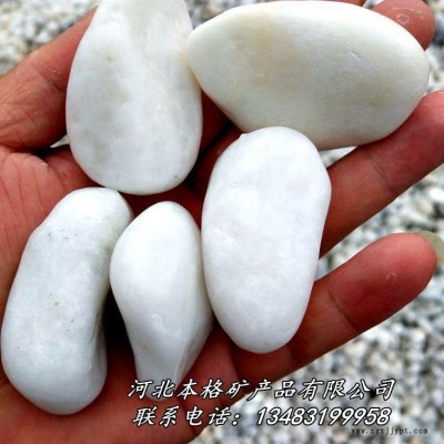 本格厂家供应天然鹅卵石  水洗鹅卵石 机制白麻鹅卵石 天然河滩鹅卵石图6