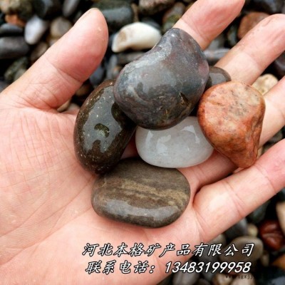 本格厂家供应天然鹅卵石  水洗鹅卵石 机制白麻鹅卵石 天然河滩鹅卵石图3