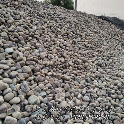 本格厂家供应天然鹅卵石  水洗鹅卵石 机制白麻鹅卵石 天然河滩鹅卵石图10