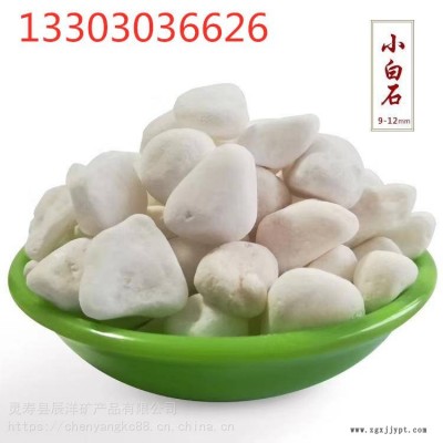 供应天然彩色石子机制白石子天然鹅卵石图3