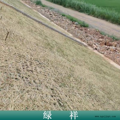 天然麻椰固土毯 无污染 郑州椰丝毯质量好
