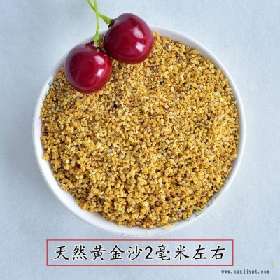 供应鱼缸园艺用金黄沙天然白沙子天然白石子图2