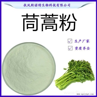 茼蒿粉 98%茼蒿粉 水溶性茼蒿喷雾干燥粉 SC认证厂