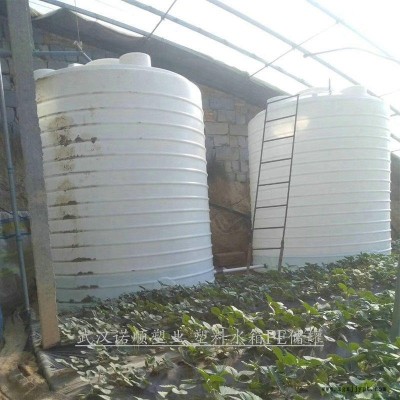 武汉10吨塑胶水塔pe水箱储罐 无土栽培草莓灌溉蓄水容器滚塑水箱