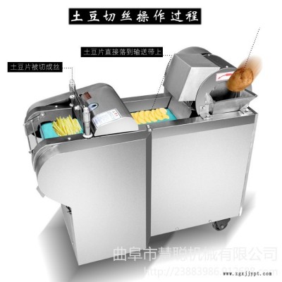 全自动切菜机 小型不锈钢切菜机 切笋丝机 黄瓜山药切片机 商用多功能切片机型号