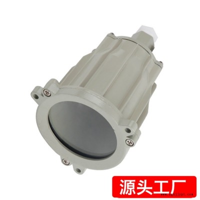 防爆视孔灯 BSD96化学容器LED视孔灯 12V24V36V220V反应釜视镜灯图1