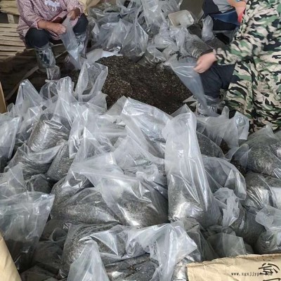 供应玄武岩纤维 玄武岩短切纤维 高强度抗裂水泥混凝土玄武岩纤维图1