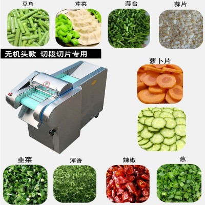 蒜苗豆角切段切菜机 蔬菜切丝切片机 电动不锈钢切菜机 豆角切段切菜机