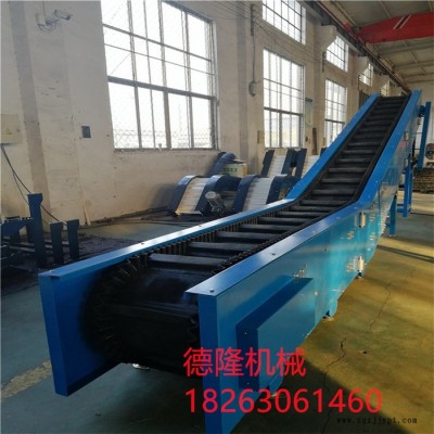 德隆dl-1165集装箱装车机爬坡橡胶带输送机流水线设备注塑机传送带漏斗式 集装箱装车机爬坡机图7
