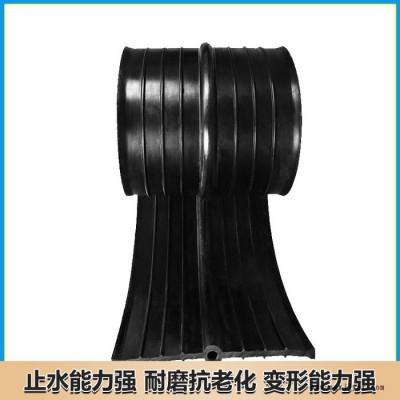 龙翔 中埋式橡胶止水带 背贴式止水带 施工缝橡胶带图2