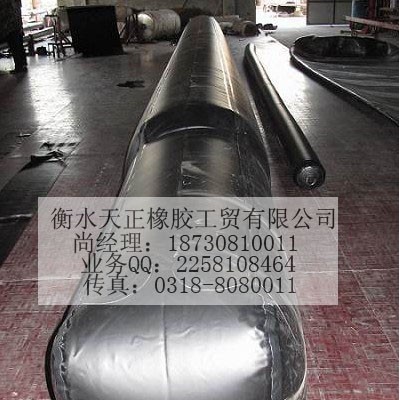 供应橡胶气囊芯模图3