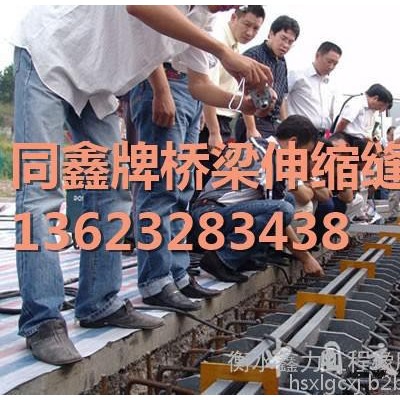 橡胶伸缩缝是以橡胶带作为跨缝材料  毛勒式伸缩缝规格 报价图8