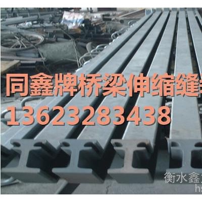 橡胶伸缩缝是以橡胶带作为跨缝材料  毛勒式伸缩缝规格 报价图2