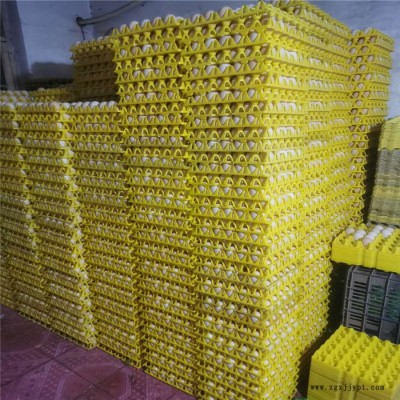 塑料鸡蛋托 PP原料蛋托 塑料蛋托 中引 厂家供应图3
