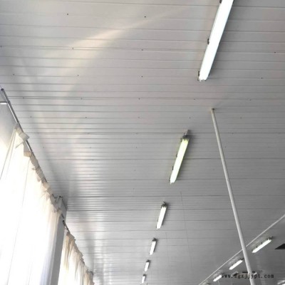 腌渍车间顶棚吊顶板 挂板 防腐PVC扣板 新原料耐腐蚀图3