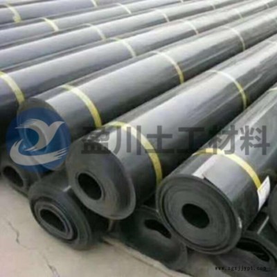 四川盈川材料 HDPE复合HDPE膜 HDPE土工膜 HDPE防渗膜 HDPE膜图4