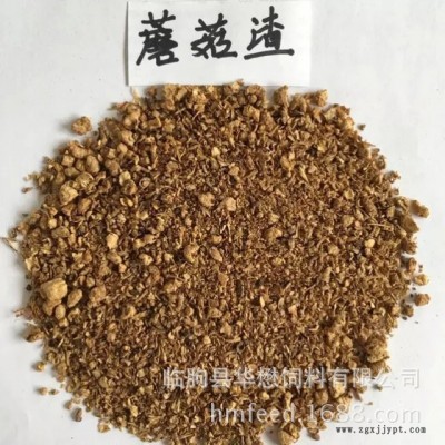山东华懋蘑菇渣 金针菇渣 菌糠牛羊用饲料原料图5