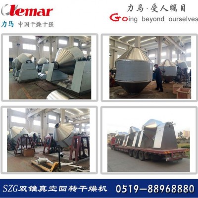 常州力马-ZPG-2000耙式真空干燥机系统方案描述、化工原料卧式干燥器图3