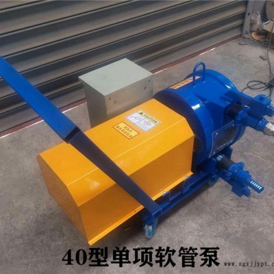 化工原料胶体泵 硫酸工业软管泵 挤压蠕动软管泵图3