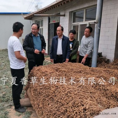 杜仲叶提取物水提 宁夏杜仲叶粉80-120目 杜仲叶原料粉图3