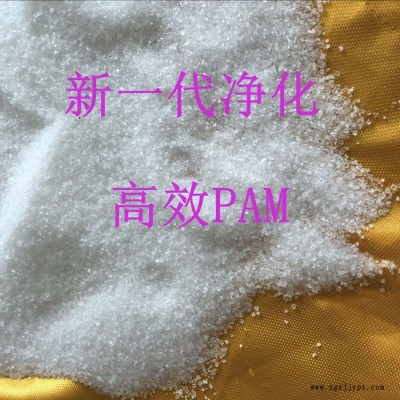 供应聚丙烯酰胺，阴离子聚丙烯酰胺，阴离子PAM 聚丙烯酰胺絮凝剂阴，饮用水级聚丙烯酰胺
