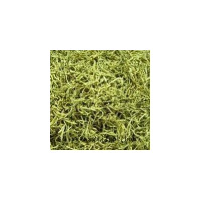 金银花提取物    绿原酸   天然提取物原料图3