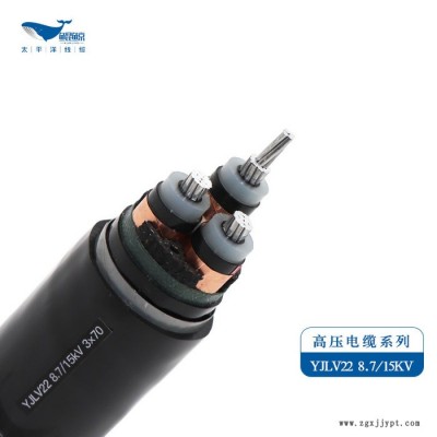 太平洋线缆YJLV22-3*240高压-铝芯-铠装聚氯乙烯护套电力电缆图2