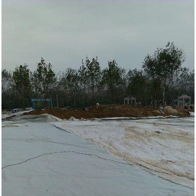 东方牌600g 聚丙烯无纺土工布透水无纺布图6