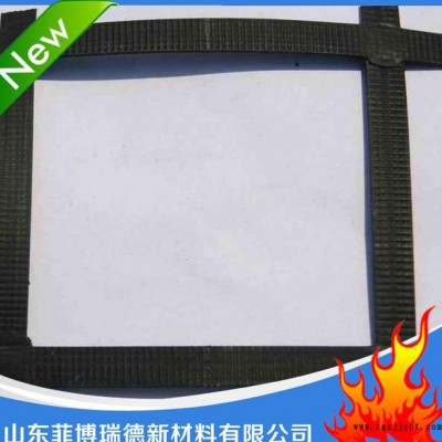 **聚丙烯双向土工格栅  直销规格聚丙烯凸结点土工格栅图2