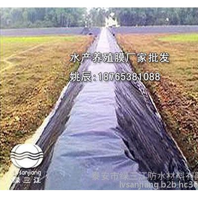 佛山现货供应聚氯乙烯塑料布图4