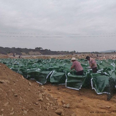 河道绿化治理护坡土工植生袋 天之鹰厂家批发聚丙烯生态袋图3