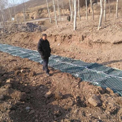 河道绿化治理护坡土工植生袋 天之鹰厂家批发聚丙烯生态袋图2