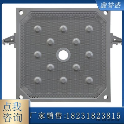 压滤机滤板 聚丙烯隔膜滤板 工业滤板厂家批发图1