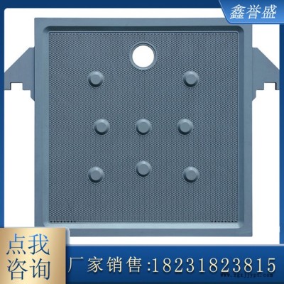 压滤机滤板 板框压滤机滤板 聚丙烯滤板厂家图2