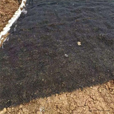 天之鹰厂家供应销售现货供应聚丙烯pp水土保护毯 7220单面凸柔性生态水土保护毯图5