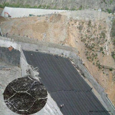 天之鹰**植草加筋麦克垫  河道护坡绿化网  聚丙烯  高尔凡图4